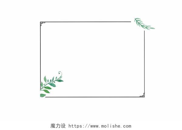 手绘边框小清新夏天热带雨林植物边框树叶边框素材